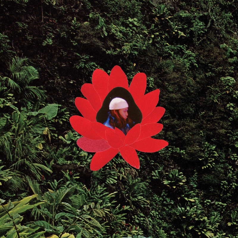 Lionmilk - When The Flowers Bloom | Vinyl