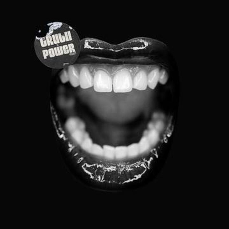 Various Artists - The Truth To Power Project | Vinyl