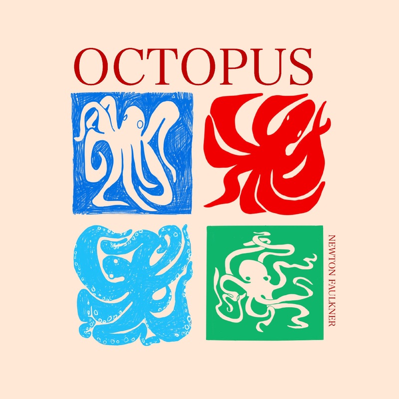 Newton Faulkner - Octopus (White Vinyl) | Vinyl
