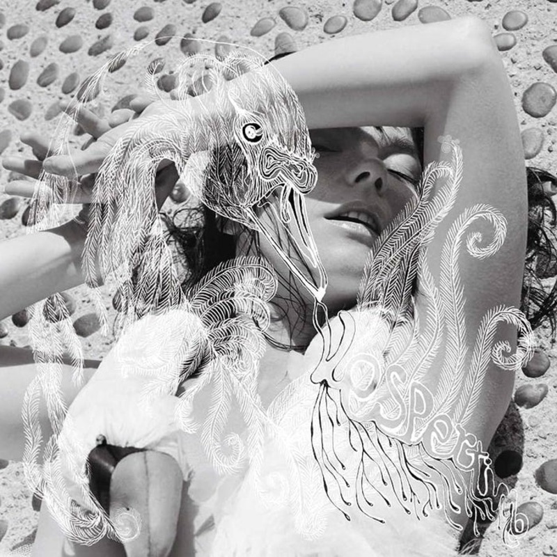 Bjrk Vespertine (2xLP)