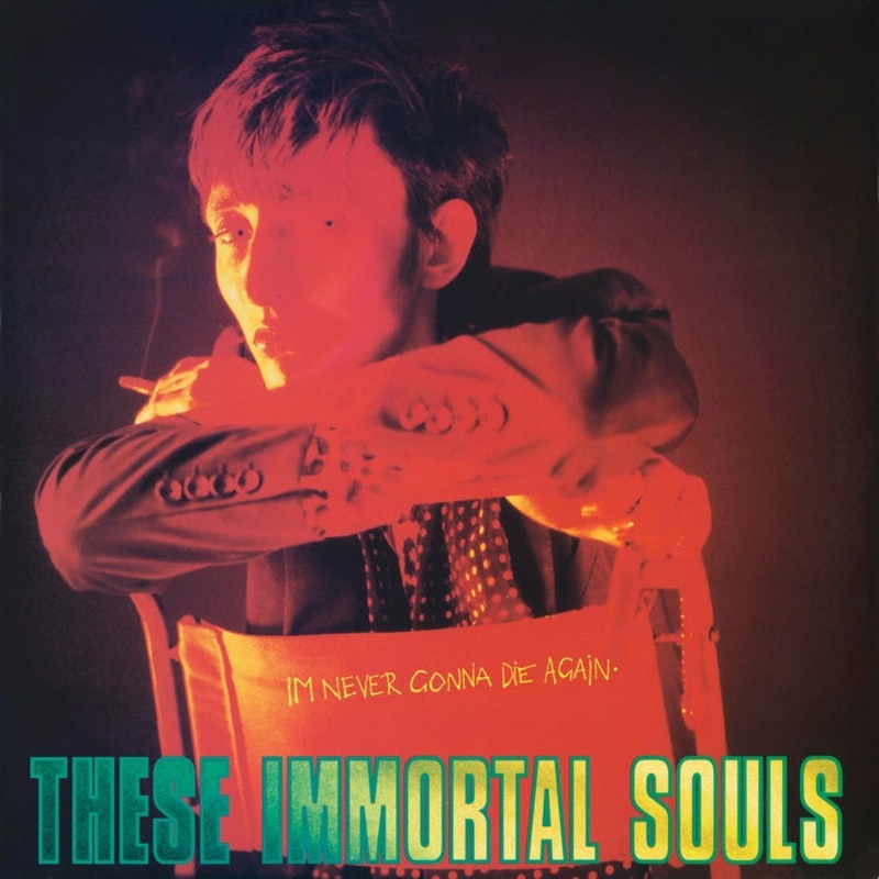 These Immortal Souls I'm Never Gonna Die Again