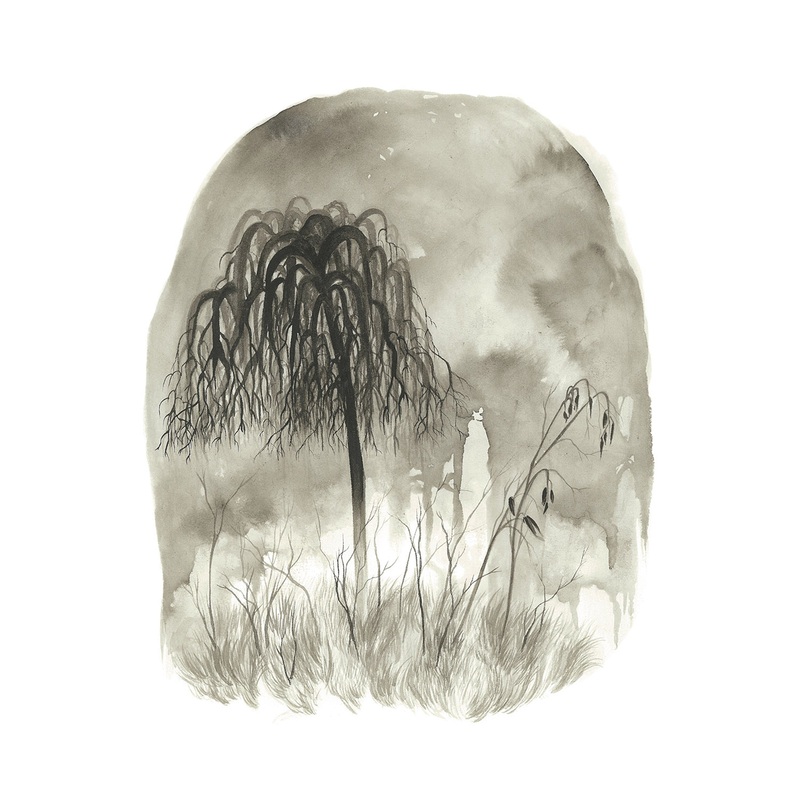 Woodpigeon * Trouble - New CD
