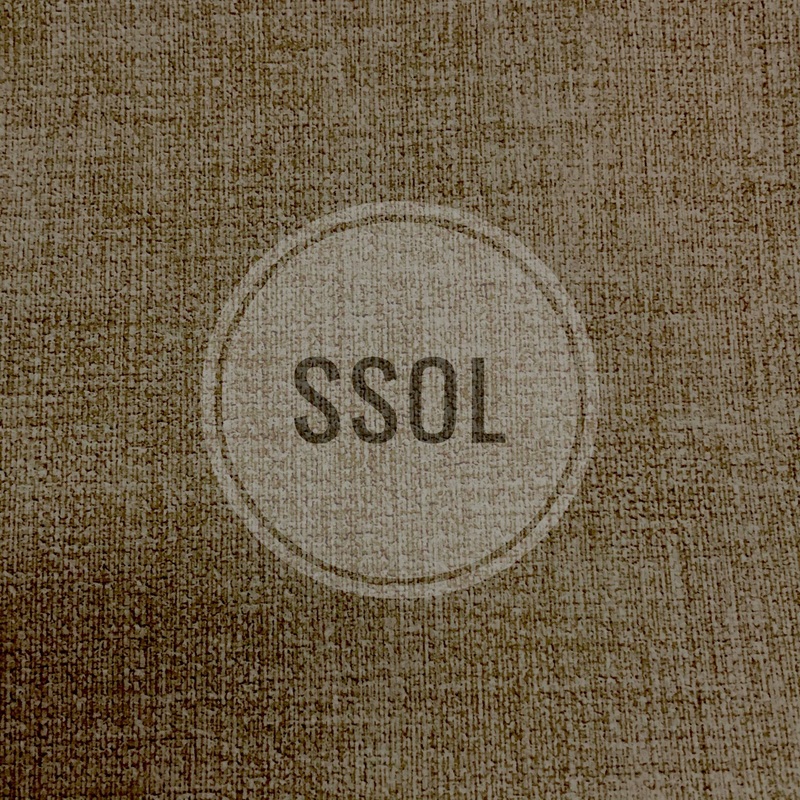 Vinyl/PU Leather - Special Texture (Solid Type II 03)
