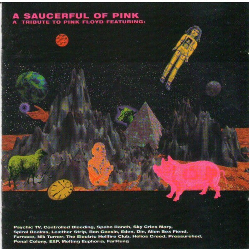 A Saucerful Of Pink - A Tribute To Pink Floyd (2 CD)