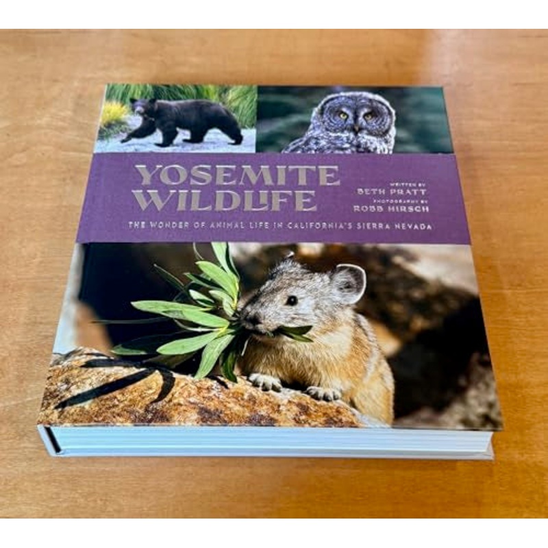 Yosemite Wildlife : The Wonder of Animal Life in California's Sierra Nevada