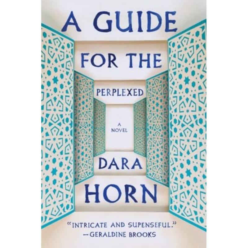 A Guide for the Perplexed: A Novel