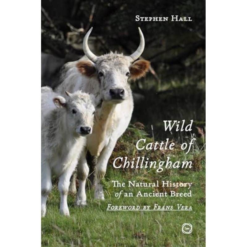 Wild Cattle of Chillingham : The Natural History of an Ancient Breed