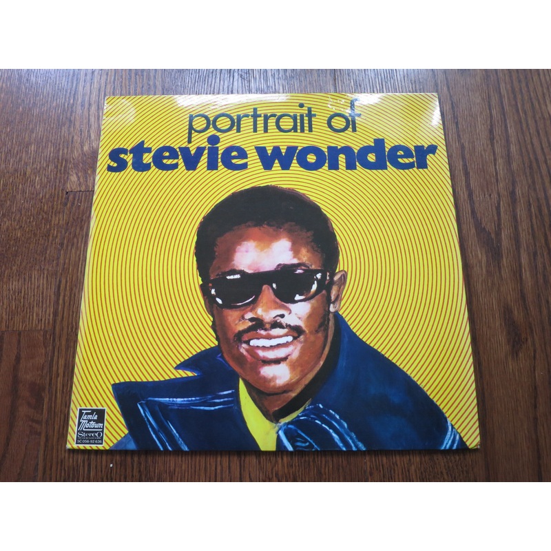 Stevie Wonder - Portrait of Stevie Wonder